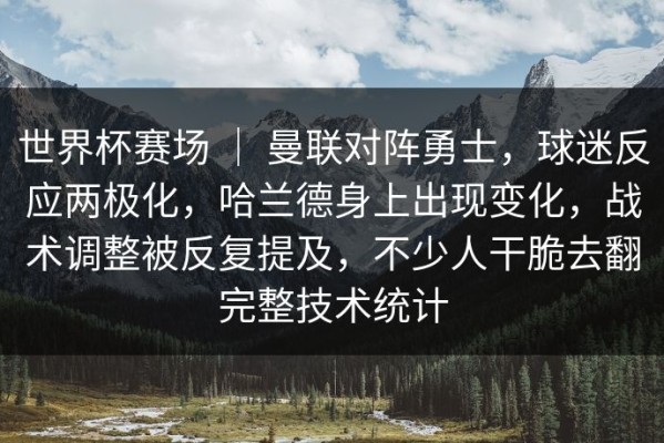 世界杯赛场 ｜ 曼联对阵勇士，球迷反应两极化，哈兰德身上出现变化，战术调整被反复提及，不少人干脆去翻完整技术统计