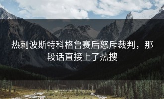 热刺波斯特科格鲁赛后怒斥裁判，那段话直接上了热搜