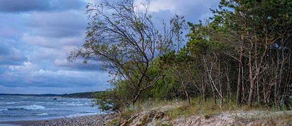看到开云官网的数据报告，这支争冠队的传球成功率竟然还不如保级队的一半。